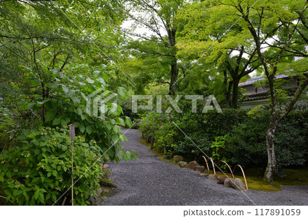 京都·天龍寺 京都·天龍寺 117891059