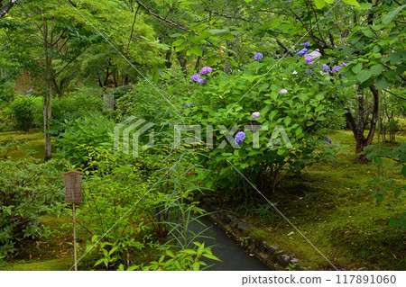 京都·天龍寺 京都·天龍寺 117891060