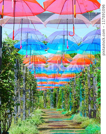 Ecorin Village Umbrella Sky Ecorin Village Umbrella Sky 117891096