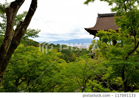 Kyoto - ji temple in Kyoto Kyoto - ji temple in Kyoto 117891133