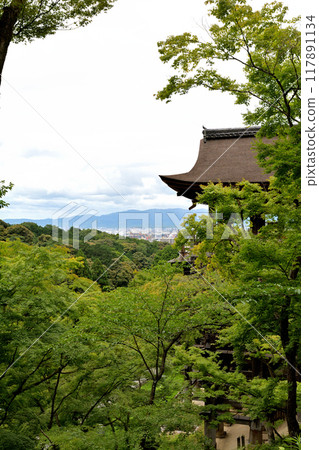 Kyoto - ji temple in Kyoto Kyoto - ji temple in Kyoto 117891134