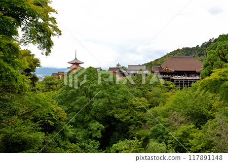 京都 - 京都的ji寺廟 京都 - 京都的ji寺廟 117891148