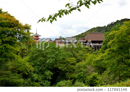 京都 - 京都的ji寺廟 京都 - 京都的ji寺廟 117891149