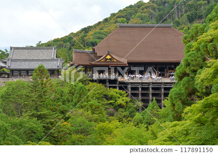 京都 - 京都的ji寺廟 117891150