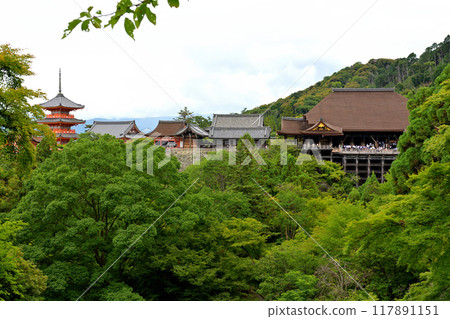 Kyoto - ji temple in Kyoto 117891151