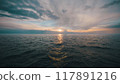 水平線 117891216