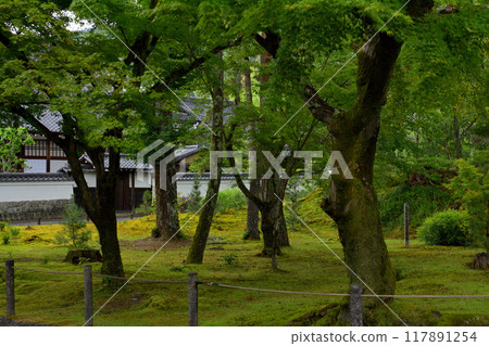 京都·南禪寺 京都·南禪寺 117891254