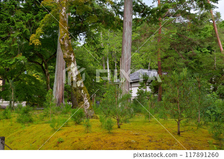 Kyoto · Nanzenji Kyoto · Nanzenji 117891260