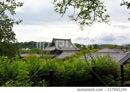 京都·哲學之路 117891284