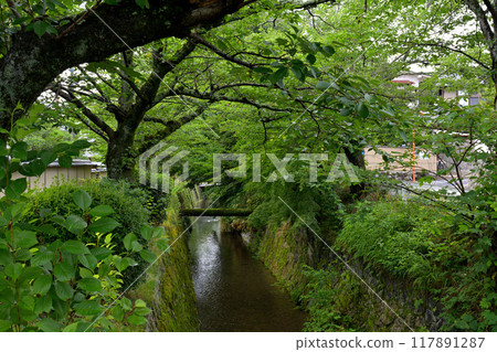 京都·哲學之路 117891287