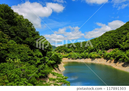 奇美櫻花橋的風景 117891303