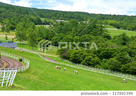 Yatsugatake Makiba Park Yatsugatake Makiba Park 117891399
