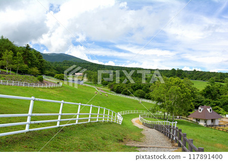 八岳牧場公園 八岳牧場公園 117891400