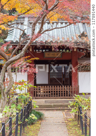 [Japan] Autumn leaves and Buddhist architecture in the grounds of Hondo-ji Temple in Matsudo, Chiba Prefecture 117891440