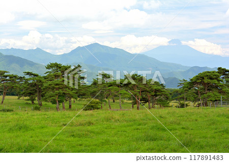 八岳牧場公園 117891483