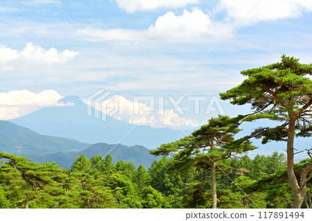 八岳牧場公園 117891494