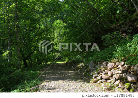 八岳牧場公園 117891495