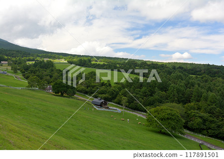 八岳牧場公園 117891501