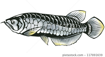 Silver arowana paper cutout illustration 117891639