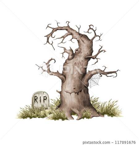 Old dry thick tree with grass stone grave at the foot. Vintage style hand drawn tree with curved branches no leaves with tomb beneath scary landscape element. Old crooked oak with bald twigs isolated 117891676