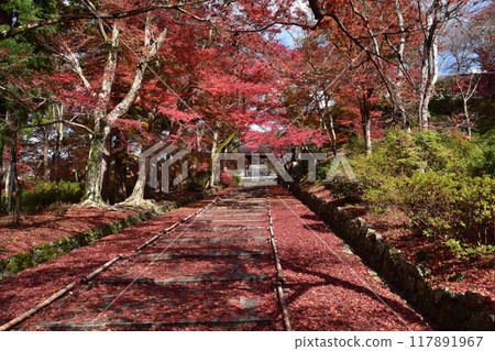Autumn leaves at Bishamon-do Chokushizaka in Yamashina, Kyoto Autumn leaves at Bishamon-do Chokushizaka in Yamashina, Kyoto 117891967