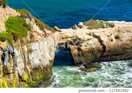 Arch in the sea at the seaside in Santa Cruz - California, United States 117891992