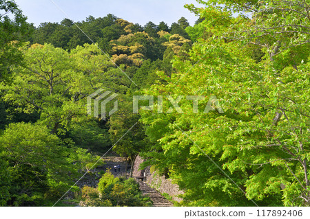 Azuchi Castle, one of Japan's 100 most famous castles 117892406
