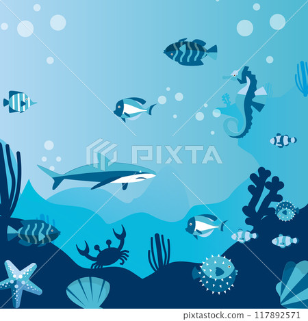 The vibrant marine life of the underwater world. The vibrant marine life of the underwater world. 117892571