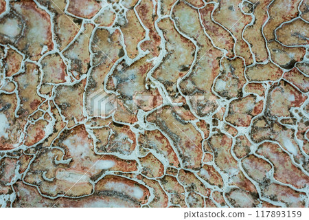 Textured background of abstract shape limestone deposits of travertine Pamukkale. Top view. Textured background of abstract shape limestone deposits of travertine Pamukkale. Top view. 117893159