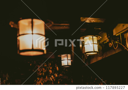 Warm light night lantern 117893227