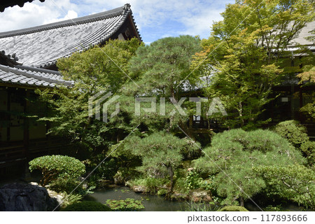 夏天的永堂禪林寺池泉庭園（北條北庭園） 117893666