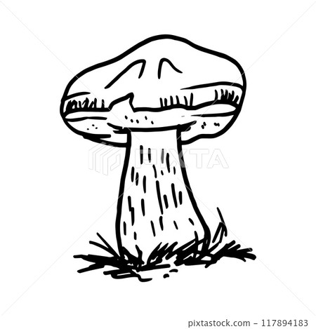 Mushrooms hand-drawn doodle 117894183
