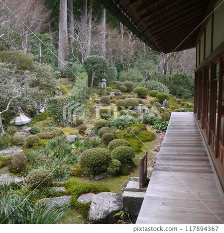 日本庭園 117894367