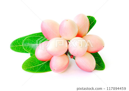 carissa carandas with leaves on white background. 117894459