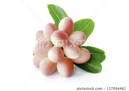 carissa carandas with leaves on white background. carissa carandas with leaves on white background. 117894462