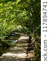在森林散步 117894741