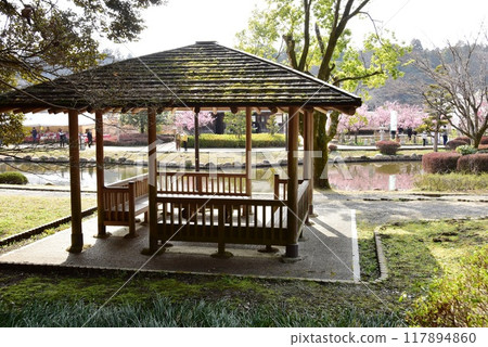 Mito City: Kairakuen pond and gazebo near the Togyokusen toll gate 117894860