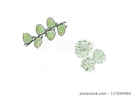 豆柿栗子數位手繪插畫 豆柿栗子數位手繪插畫 117894964