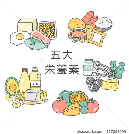五種主要營養素插畫集 117895009
