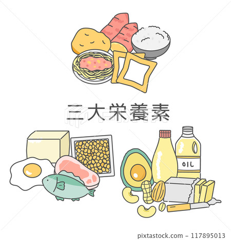 三大營養素插畫集 三大營養素插畫集 117895013