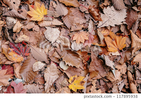 Graphic material of piled up dried fallen leaves 117895938