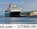 luxury liner  117896190