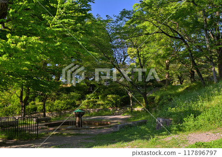 Lake Biwa Canal, Kyoto Lake Biwa Canal, Kyoto 117896797