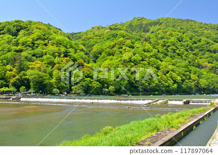 Kyoto Arashiyama 117897064