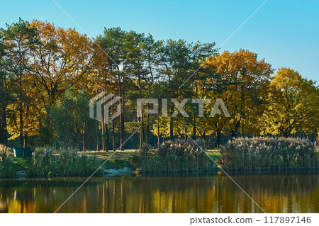 Autumn October fusion.Forest lake surrounded by trees and reeds 117897146