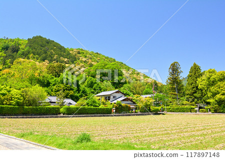Kyoto / Sagano 117897148