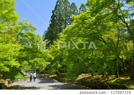 二尊院，嵯峨野，京都 117897159