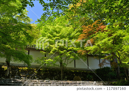 二尊院，嵯峨野，京都 117897160