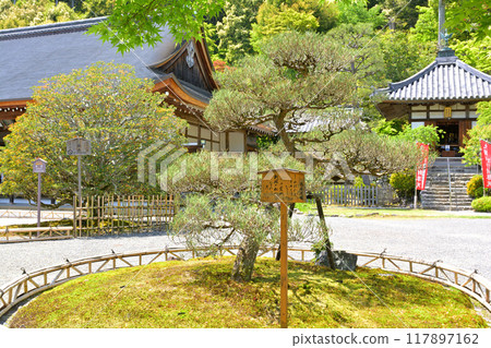 二尊院，嵯峨野，京都 117897162