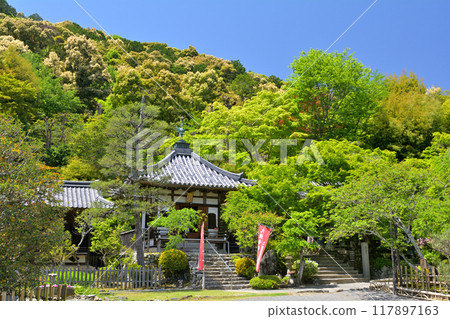 Nison-in Temple, Sagano, Kyoto 117897163